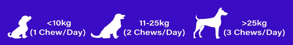 The Fittest Pet - Dosage