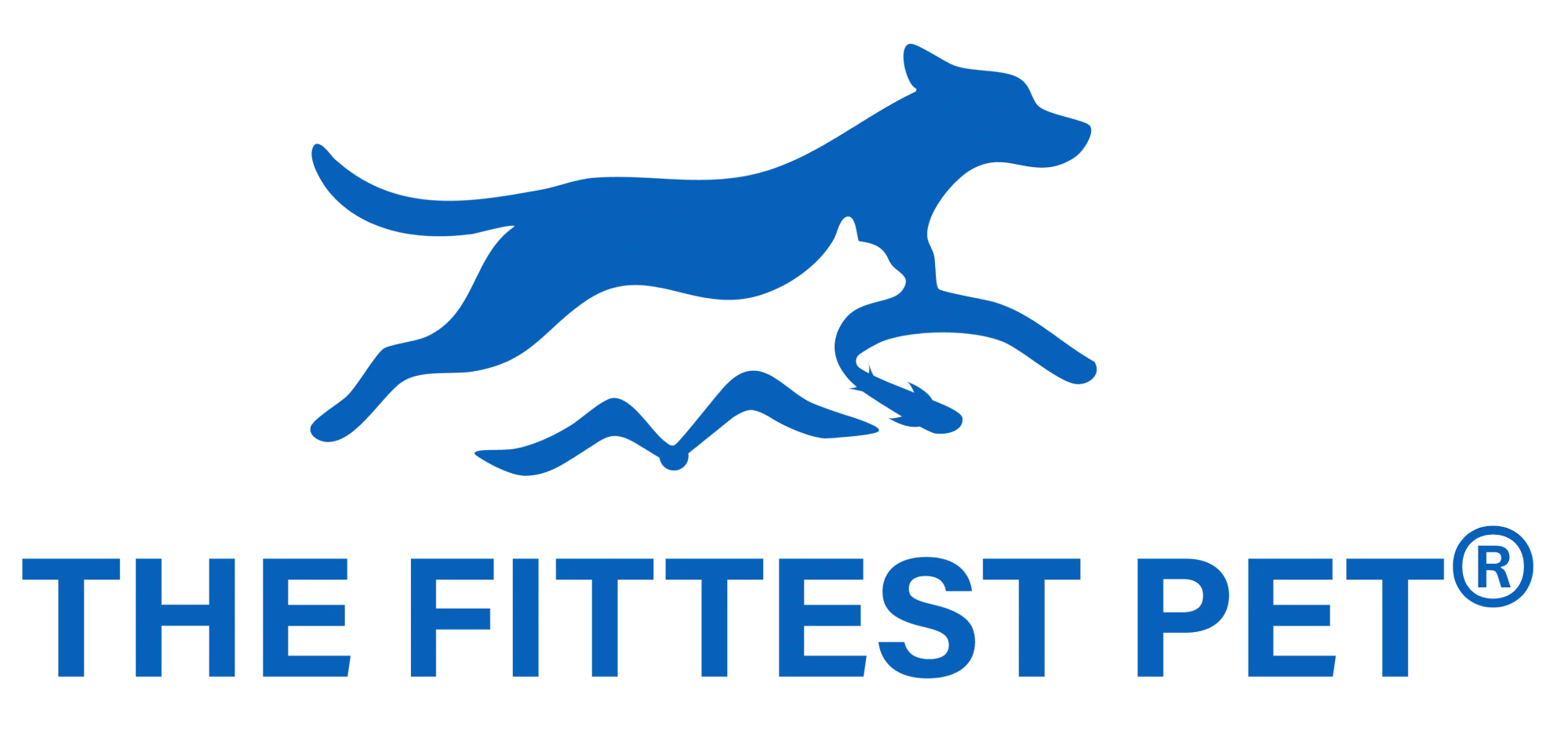THE FITTEST PET